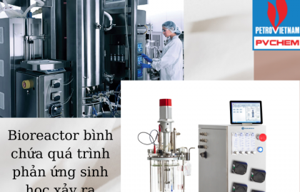 Bioreactor là gì? Các loại lò phản ứng sinh học